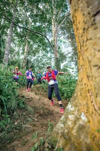 BIB: 
                            <button type="button" onclick="openModal(24854312)" class="btn btn-primary btn-sm float-right btn-popup" data-toggle="modal" data-target=".modal-high-quality">
                        <i class="fas fa-shopping-cart"></i> Add to Cart
                    </button>
                                            <button type="button" onclick="isThisMe(24854312, true)" class="btn btn-success btn-sm float-right btn-popup btn-isme hidden" data-toggle="tooltip" data-placement="bottom" title="นี่คือรูปของคุณใช่ไหม คลิกที่นี่เพื่อเอาเข้าอัลบั้ม">
                        <i class="fas fa-plus"></i> Add to album
                    </button>
                    <button type="button" onclick="isThisMe(24854312, false)" class="btn btn-warning btn-sm float-right btn-popup btn-isnotme hidden">
                        <i class="fas fa-ban"></i> Remove from album
                    </button>