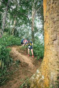 BIB: 
                            <button type="button" onclick="openModal(24855921)" class="btn btn-primary btn-sm float-right btn-popup" data-toggle="modal" data-target=".modal-high-quality">
                        <i class="fas fa-shopping-cart"></i> Add to Cart
                    </button>
                                            <button type="button" onclick="isThisMe(24855921, true)" class="btn btn-success btn-sm float-right btn-popup btn-isme hidden" data-toggle="tooltip" data-placement="bottom" title="นี่คือรูปของคุณใช่ไหม คลิกที่นี่เพื่อเอาเข้าอัลบั้ม">
                        <i class="fas fa-plus"></i> Add to album
                    </button>
                    <button type="button" onclick="isThisMe(24855921, false)" class="btn btn-warning btn-sm float-right btn-popup btn-isnotme hidden">
                        <i class="fas fa-ban"></i> Remove from album
                    </button>