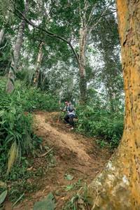 BIB: 
                            <button type="button" onclick="openModal(24856319)" class="btn btn-primary btn-sm float-right btn-popup" data-toggle="modal" data-target=".modal-high-quality">
                        <i class="fas fa-shopping-cart"></i> Add to Cart
                    </button>
                                            <button type="button" onclick="isThisMe(24856319, true)" class="btn btn-success btn-sm float-right btn-popup btn-isme hidden" data-toggle="tooltip" data-placement="bottom" title="นี่คือรูปของคุณใช่ไหม คลิกที่นี่เพื่อเอาเข้าอัลบั้ม">
                        <i class="fas fa-plus"></i> Add to album
                    </button>
                    <button type="button" onclick="isThisMe(24856319, false)" class="btn btn-warning btn-sm float-right btn-popup btn-isnotme hidden">
                        <i class="fas fa-ban"></i> Remove from album
                    </button>