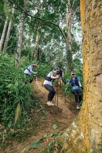 BIB: 
                            <button type="button" onclick="openModal(24856194)" class="btn btn-primary btn-sm float-right btn-popup" data-toggle="modal" data-target=".modal-high-quality">
                        <i class="fas fa-shopping-cart"></i> Add to Cart
                    </button>
                                            <button type="button" onclick="isThisMe(24856194, true)" class="btn btn-success btn-sm float-right btn-popup btn-isme hidden" data-toggle="tooltip" data-placement="bottom" title="นี่คือรูปของคุณใช่ไหม คลิกที่นี่เพื่อเอาเข้าอัลบั้ม">
                        <i class="fas fa-plus"></i> Add to album
                    </button>
                    <button type="button" onclick="isThisMe(24856194, false)" class="btn btn-warning btn-sm float-right btn-popup btn-isnotme hidden">
                        <i class="fas fa-ban"></i> Remove from album
                    </button>