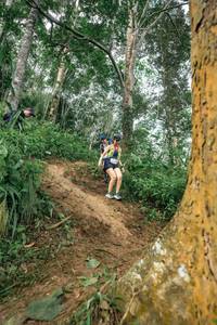 BIB: 
                            <button type="button" onclick="openModal(24856260)" class="btn btn-primary btn-sm float-right btn-popup" data-toggle="modal" data-target=".modal-high-quality">
                        <i class="fas fa-shopping-cart"></i> Add to Cart
                    </button>
                                            <button type="button" onclick="isThisMe(24856260, true)" class="btn btn-success btn-sm float-right btn-popup btn-isme hidden" data-toggle="tooltip" data-placement="bottom" title="นี่คือรูปของคุณใช่ไหม คลิกที่นี่เพื่อเอาเข้าอัลบั้ม">
                        <i class="fas fa-plus"></i> Add to album
                    </button>
                    <button type="button" onclick="isThisMe(24856260, false)" class="btn btn-warning btn-sm float-right btn-popup btn-isnotme hidden">
                        <i class="fas fa-ban"></i> Remove from album
                    </button>