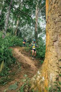 BIB: 
                            <button type="button" onclick="openModal(24856297)" class="btn btn-primary btn-sm float-right btn-popup" data-toggle="modal" data-target=".modal-high-quality">
                        <i class="fas fa-shopping-cart"></i> Add to Cart
                    </button>
                                            <button type="button" onclick="isThisMe(24856297, true)" class="btn btn-success btn-sm float-right btn-popup btn-isme hidden" data-toggle="tooltip" data-placement="bottom" title="นี่คือรูปของคุณใช่ไหม คลิกที่นี่เพื่อเอาเข้าอัลบั้ม">
                        <i class="fas fa-plus"></i> Add to album
                    </button>
                    <button type="button" onclick="isThisMe(24856297, false)" class="btn btn-warning btn-sm float-right btn-popup btn-isnotme hidden">
                        <i class="fas fa-ban"></i> Remove from album
                    </button>