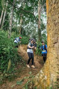 BIB: 
                            <button type="button" onclick="openModal(24856195)" class="btn btn-primary btn-sm float-right btn-popup" data-toggle="modal" data-target=".modal-high-quality">
                        <i class="fas fa-shopping-cart"></i> Add to Cart
                    </button>
                                            <button type="button" onclick="isThisMe(24856195, true)" class="btn btn-success btn-sm float-right btn-popup btn-isme hidden" data-toggle="tooltip" data-placement="bottom" title="นี่คือรูปของคุณใช่ไหม คลิกที่นี่เพื่อเอาเข้าอัลบั้ม">
                        <i class="fas fa-plus"></i> Add to album
                    </button>
                    <button type="button" onclick="isThisMe(24856195, false)" class="btn btn-warning btn-sm float-right btn-popup btn-isnotme hidden">
                        <i class="fas fa-ban"></i> Remove from album
                    </button>