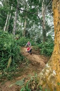 BIB: 
                            <button type="button" onclick="openModal(24856406)" class="btn btn-primary btn-sm float-right btn-popup" data-toggle="modal" data-target=".modal-high-quality">
                        <i class="fas fa-shopping-cart"></i> Add to Cart
                    </button>
                                            <button type="button" onclick="isThisMe(24856406, true)" class="btn btn-success btn-sm float-right btn-popup btn-isme hidden" data-toggle="tooltip" data-placement="bottom" title="นี่คือรูปของคุณใช่ไหม คลิกที่นี่เพื่อเอาเข้าอัลบั้ม">
                        <i class="fas fa-plus"></i> Add to album
                    </button>
                    <button type="button" onclick="isThisMe(24856406, false)" class="btn btn-warning btn-sm float-right btn-popup btn-isnotme hidden">
                        <i class="fas fa-ban"></i> Remove from album
                    </button>