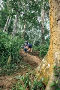 BIB: 
                            <button type="button" onclick="openModal(24856683)" class="btn btn-primary btn-sm float-right btn-popup" data-toggle="modal" data-target=".modal-high-quality">
                        <i class="fas fa-shopping-cart"></i> Add to Cart
                    </button>
                                            <button type="button" onclick="isThisMe(24856683, true)" class="btn btn-success btn-sm float-right btn-popup btn-isme hidden" data-toggle="tooltip" data-placement="bottom" title="นี่คือรูปของคุณใช่ไหม คลิกที่นี่เพื่อเอาเข้าอัลบั้ม">
                        <i class="fas fa-plus"></i> Add to album
                    </button>
                    <button type="button" onclick="isThisMe(24856683, false)" class="btn btn-warning btn-sm float-right btn-popup btn-isnotme hidden">
                        <i class="fas fa-ban"></i> Remove from album
                    </button>