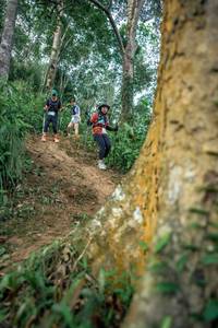 BIB: 
                            <button type="button" onclick="openModal(24853195)" class="btn btn-primary btn-sm float-right btn-popup" data-toggle="modal" data-target=".modal-high-quality">
                        <i class="fas fa-shopping-cart"></i> Add to Cart
                    </button>
                                            <button type="button" onclick="isThisMe(24853195, true)" class="btn btn-success btn-sm float-right btn-popup btn-isme hidden" data-toggle="tooltip" data-placement="bottom" title="นี่คือรูปของคุณใช่ไหม คลิกที่นี่เพื่อเอาเข้าอัลบั้ม">
                        <i class="fas fa-plus"></i> Add to album
                    </button>
                    <button type="button" onclick="isThisMe(24853195, false)" class="btn btn-warning btn-sm float-right btn-popup btn-isnotme hidden">
                        <i class="fas fa-ban"></i> Remove from album
                    </button>