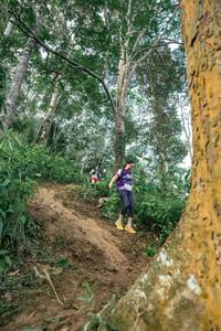 BIB: 
                            <button type="button" onclick="openModal(24856655)" class="btn btn-primary btn-sm float-right btn-popup" data-toggle="modal" data-target=".modal-high-quality">
                        <i class="fas fa-shopping-cart"></i> Add to Cart
                    </button>
                                            <button type="button" onclick="isThisMe(24856655, true)" class="btn btn-success btn-sm float-right btn-popup btn-isme hidden" data-toggle="tooltip" data-placement="bottom" title="นี่คือรูปของคุณใช่ไหม คลิกที่นี่เพื่อเอาเข้าอัลบั้ม">
                        <i class="fas fa-plus"></i> Add to album
                    </button>
                    <button type="button" onclick="isThisMe(24856655, false)" class="btn btn-warning btn-sm float-right btn-popup btn-isnotme hidden">
                        <i class="fas fa-ban"></i> Remove from album
                    </button>