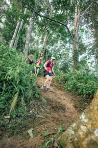 BIB: 
                            <button type="button" onclick="openModal(24854183)" class="btn btn-primary btn-sm float-right btn-popup" data-toggle="modal" data-target=".modal-high-quality">
                        <i class="fas fa-shopping-cart"></i> Add to Cart
                    </button>
                                            <button type="button" onclick="isThisMe(24854183, true)" class="btn btn-success btn-sm float-right btn-popup btn-isme hidden" data-toggle="tooltip" data-placement="bottom" title="นี่คือรูปของคุณใช่ไหม คลิกที่นี่เพื่อเอาเข้าอัลบั้ม">
                        <i class="fas fa-plus"></i> Add to album
                    </button>
                    <button type="button" onclick="isThisMe(24854183, false)" class="btn btn-warning btn-sm float-right btn-popup btn-isnotme hidden">
                        <i class="fas fa-ban"></i> Remove from album
                    </button>