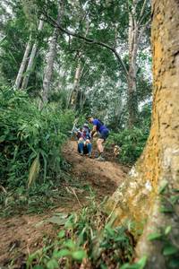 BIB: 
                            <button type="button" onclick="openModal(24856706)" class="btn btn-primary btn-sm float-right btn-popup" data-toggle="modal" data-target=".modal-high-quality">
                        <i class="fas fa-shopping-cart"></i> Add to Cart
                    </button>
                                            <button type="button" onclick="isThisMe(24856706, true)" class="btn btn-success btn-sm float-right btn-popup btn-isme hidden" data-toggle="tooltip" data-placement="bottom" title="นี่คือรูปของคุณใช่ไหม คลิกที่นี่เพื่อเอาเข้าอัลบั้ม">
                        <i class="fas fa-plus"></i> Add to album
                    </button>
                    <button type="button" onclick="isThisMe(24856706, false)" class="btn btn-warning btn-sm float-right btn-popup btn-isnotme hidden">
                        <i class="fas fa-ban"></i> Remove from album
                    </button>