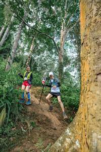 BIB: 
                            <button type="button" onclick="openModal(24856639)" class="btn btn-primary btn-sm float-right btn-popup" data-toggle="modal" data-target=".modal-high-quality">
                        <i class="fas fa-shopping-cart"></i> Add to Cart
                    </button>
                                            <button type="button" onclick="isThisMe(24856639, true)" class="btn btn-success btn-sm float-right btn-popup btn-isme hidden" data-toggle="tooltip" data-placement="bottom" title="นี่คือรูปของคุณใช่ไหม คลิกที่นี่เพื่อเอาเข้าอัลบั้ม">
                        <i class="fas fa-plus"></i> Add to album
                    </button>
                    <button type="button" onclick="isThisMe(24856639, false)" class="btn btn-warning btn-sm float-right btn-popup btn-isnotme hidden">
                        <i class="fas fa-ban"></i> Remove from album
                    </button>