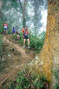 BIB: 
                            <button type="button" onclick="openModal(24852315)" class="btn btn-primary btn-sm float-right btn-popup" data-toggle="modal" data-target=".modal-high-quality">
                        <i class="fas fa-shopping-cart"></i> Add to Cart
                    </button>
                                            <button type="button" onclick="isThisMe(24852315, true)" class="btn btn-success btn-sm float-right btn-popup btn-isme hidden" data-toggle="tooltip" data-placement="bottom" title="นี่คือรูปของคุณใช่ไหม คลิกที่นี่เพื่อเอาเข้าอัลบั้ม">
                        <i class="fas fa-plus"></i> Add to album
                    </button>
                    <button type="button" onclick="isThisMe(24852315, false)" class="btn btn-warning btn-sm float-right btn-popup btn-isnotme hidden">
                        <i class="fas fa-ban"></i> Remove from album
                    </button>