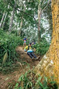 BIB: 
                            <button type="button" onclick="openModal(24856743)" class="btn btn-primary btn-sm float-right btn-popup" data-toggle="modal" data-target=".modal-high-quality">
                        <i class="fas fa-shopping-cart"></i> Add to Cart
                    </button>
                                            <button type="button" onclick="isThisMe(24856743, true)" class="btn btn-success btn-sm float-right btn-popup btn-isme hidden" data-toggle="tooltip" data-placement="bottom" title="นี่คือรูปของคุณใช่ไหม คลิกที่นี่เพื่อเอาเข้าอัลบั้ม">
                        <i class="fas fa-plus"></i> Add to album
                    </button>
                    <button type="button" onclick="isThisMe(24856743, false)" class="btn btn-warning btn-sm float-right btn-popup btn-isnotme hidden">
                        <i class="fas fa-ban"></i> Remove from album
                    </button>