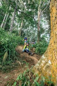 BIB: 
                            <button type="button" onclick="openModal(24856733)" class="btn btn-primary btn-sm float-right btn-popup" data-toggle="modal" data-target=".modal-high-quality">
                        <i class="fas fa-shopping-cart"></i> Add to Cart
                    </button>
                                            <button type="button" onclick="isThisMe(24856733, true)" class="btn btn-success btn-sm float-right btn-popup btn-isme hidden" data-toggle="tooltip" data-placement="bottom" title="นี่คือรูปของคุณใช่ไหม คลิกที่นี่เพื่อเอาเข้าอัลบั้ม">
                        <i class="fas fa-plus"></i> Add to album
                    </button>
                    <button type="button" onclick="isThisMe(24856733, false)" class="btn btn-warning btn-sm float-right btn-popup btn-isnotme hidden">
                        <i class="fas fa-ban"></i> Remove from album
                    </button>