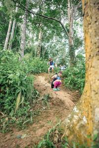 BIB: 
                            <button type="button" onclick="openModal(24855672)" class="btn btn-primary btn-sm float-right btn-popup" data-toggle="modal" data-target=".modal-high-quality">
                        <i class="fas fa-shopping-cart"></i> Add to Cart
                    </button>
                                            <button type="button" onclick="isThisMe(24855672, true)" class="btn btn-success btn-sm float-right btn-popup btn-isme hidden" data-toggle="tooltip" data-placement="bottom" title="นี่คือรูปของคุณใช่ไหม คลิกที่นี่เพื่อเอาเข้าอัลบั้ม">
                        <i class="fas fa-plus"></i> Add to album
                    </button>
                    <button type="button" onclick="isThisMe(24855672, false)" class="btn btn-warning btn-sm float-right btn-popup btn-isnotme hidden">
                        <i class="fas fa-ban"></i> Remove from album
                    </button>