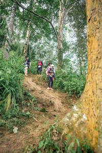 BIB: 
                            <button type="button" onclick="openModal(24854553)" class="btn btn-primary btn-sm float-right btn-popup" data-toggle="modal" data-target=".modal-high-quality">
                        <i class="fas fa-shopping-cart"></i> Add to Cart
                    </button>
                                            <button type="button" onclick="isThisMe(24854553, true)" class="btn btn-success btn-sm float-right btn-popup btn-isme hidden" data-toggle="tooltip" data-placement="bottom" title="นี่คือรูปของคุณใช่ไหม คลิกที่นี่เพื่อเอาเข้าอัลบั้ม">
                        <i class="fas fa-plus"></i> Add to album
                    </button>
                    <button type="button" onclick="isThisMe(24854553, false)" class="btn btn-warning btn-sm float-right btn-popup btn-isnotme hidden">
                        <i class="fas fa-ban"></i> Remove from album
                    </button>