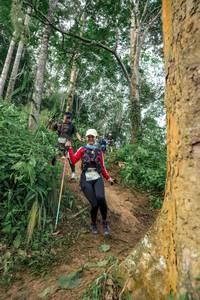 BIB: 
                            <button type="button" onclick="openModal(24856165)" class="btn btn-primary btn-sm float-right btn-popup" data-toggle="modal" data-target=".modal-high-quality">
                        <i class="fas fa-shopping-cart"></i> Add to Cart
                    </button>
                                            <button type="button" onclick="isThisMe(24856165, true)" class="btn btn-success btn-sm float-right btn-popup btn-isme hidden" data-toggle="tooltip" data-placement="bottom" title="นี่คือรูปของคุณใช่ไหม คลิกที่นี่เพื่อเอาเข้าอัลบั้ม">
                        <i class="fas fa-plus"></i> Add to album
                    </button>
                    <button type="button" onclick="isThisMe(24856165, false)" class="btn btn-warning btn-sm float-right btn-popup btn-isnotme hidden">
                        <i class="fas fa-ban"></i> Remove from album
                    </button>