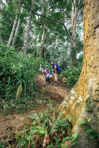 BIB: 
                            <button type="button" onclick="openModal(24856703)" class="btn btn-primary btn-sm float-right btn-popup" data-toggle="modal" data-target=".modal-high-quality">
                        <i class="fas fa-shopping-cart"></i> Add to Cart
                    </button>
                                            <button type="button" onclick="isThisMe(24856703, true)" class="btn btn-success btn-sm float-right btn-popup btn-isme hidden" data-toggle="tooltip" data-placement="bottom" title="นี่คือรูปของคุณใช่ไหม คลิกที่นี่เพื่อเอาเข้าอัลบั้ม">
                        <i class="fas fa-plus"></i> Add to album
                    </button>
                    <button type="button" onclick="isThisMe(24856703, false)" class="btn btn-warning btn-sm float-right btn-popup btn-isnotme hidden">
                        <i class="fas fa-ban"></i> Remove from album
                    </button>