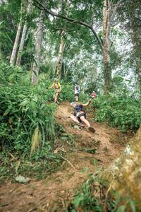 BIB: 
                            <button type="button" onclick="openModal(24854626)" class="btn btn-primary btn-sm float-right btn-popup" data-toggle="modal" data-target=".modal-high-quality">
                        <i class="fas fa-shopping-cart"></i> Add to Cart
                    </button>
                                            <button type="button" onclick="isThisMe(24854626, true)" class="btn btn-success btn-sm float-right btn-popup btn-isme hidden" data-toggle="tooltip" data-placement="bottom" title="นี่คือรูปของคุณใช่ไหม คลิกที่นี่เพื่อเอาเข้าอัลบั้ม">
                        <i class="fas fa-plus"></i> Add to album
                    </button>
                    <button type="button" onclick="isThisMe(24854626, false)" class="btn btn-warning btn-sm float-right btn-popup btn-isnotme hidden">
                        <i class="fas fa-ban"></i> Remove from album
                    </button>