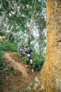 BIB: 
                            <button type="button" onclick="openModal(24855880)" class="btn btn-primary btn-sm float-right btn-popup" data-toggle="modal" data-target=".modal-high-quality">
                        <i class="fas fa-shopping-cart"></i> Add to Cart
                    </button>
                                            <button type="button" onclick="isThisMe(24855880, true)" class="btn btn-success btn-sm float-right btn-popup btn-isme hidden" data-toggle="tooltip" data-placement="bottom" title="นี่คือรูปของคุณใช่ไหม คลิกที่นี่เพื่อเอาเข้าอัลบั้ม">
                        <i class="fas fa-plus"></i> Add to album
                    </button>
                    <button type="button" onclick="isThisMe(24855880, false)" class="btn btn-warning btn-sm float-right btn-popup btn-isnotme hidden">
                        <i class="fas fa-ban"></i> Remove from album
                    </button>