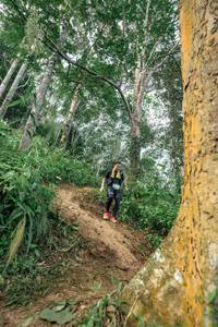 BIB: 
                            <button type="button" onclick="openModal(24856501)" class="btn btn-primary btn-sm float-right btn-popup" data-toggle="modal" data-target=".modal-high-quality">
                        <i class="fas fa-shopping-cart"></i> Add to Cart
                    </button>
                                            <button type="button" onclick="isThisMe(24856501, true)" class="btn btn-success btn-sm float-right btn-popup btn-isme hidden" data-toggle="tooltip" data-placement="bottom" title="นี่คือรูปของคุณใช่ไหม คลิกที่นี่เพื่อเอาเข้าอัลบั้ม">
                        <i class="fas fa-plus"></i> Add to album
                    </button>
                    <button type="button" onclick="isThisMe(24856501, false)" class="btn btn-warning btn-sm float-right btn-popup btn-isnotme hidden">
                        <i class="fas fa-ban"></i> Remove from album
                    </button>