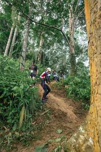 BIB: 
                            <button type="button" onclick="openModal(24856156)" class="btn btn-primary btn-sm float-right btn-popup" data-toggle="modal" data-target=".modal-high-quality">
                        <i class="fas fa-shopping-cart"></i> Add to Cart
                    </button>
                                            <button type="button" onclick="isThisMe(24856156, true)" class="btn btn-success btn-sm float-right btn-popup btn-isme hidden" data-toggle="tooltip" data-placement="bottom" title="นี่คือรูปของคุณใช่ไหม คลิกที่นี่เพื่อเอาเข้าอัลบั้ม">
                        <i class="fas fa-plus"></i> Add to album
                    </button>
                    <button type="button" onclick="isThisMe(24856156, false)" class="btn btn-warning btn-sm float-right btn-popup btn-isnotme hidden">
                        <i class="fas fa-ban"></i> Remove from album
                    </button>