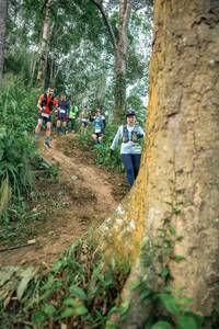 BIB: 
                            <button type="button" onclick="openModal(24853302)" class="btn btn-primary btn-sm float-right btn-popup" data-toggle="modal" data-target=".modal-high-quality">
                        <i class="fas fa-shopping-cart"></i> Add to Cart
                    </button>
                                            <button type="button" onclick="isThisMe(24853302, true)" class="btn btn-success btn-sm float-right btn-popup btn-isme hidden" data-toggle="tooltip" data-placement="bottom" title="นี่คือรูปของคุณใช่ไหม คลิกที่นี่เพื่อเอาเข้าอัลบั้ม">
                        <i class="fas fa-plus"></i> Add to album
                    </button>
                    <button type="button" onclick="isThisMe(24853302, false)" class="btn btn-warning btn-sm float-right btn-popup btn-isnotme hidden">
                        <i class="fas fa-ban"></i> Remove from album
                    </button>