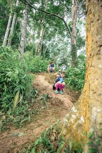 BIB: 
                            <button type="button" onclick="openModal(24855670)" class="btn btn-primary btn-sm float-right btn-popup" data-toggle="modal" data-target=".modal-high-quality">
                        <i class="fas fa-shopping-cart"></i> Add to Cart
                    </button>
                                            <button type="button" onclick="isThisMe(24855670, true)" class="btn btn-success btn-sm float-right btn-popup btn-isme hidden" data-toggle="tooltip" data-placement="bottom" title="นี่คือรูปของคุณใช่ไหม คลิกที่นี่เพื่อเอาเข้าอัลบั้ม">
                        <i class="fas fa-plus"></i> Add to album
                    </button>
                    <button type="button" onclick="isThisMe(24855670, false)" class="btn btn-warning btn-sm float-right btn-popup btn-isnotme hidden">
                        <i class="fas fa-ban"></i> Remove from album
                    </button>