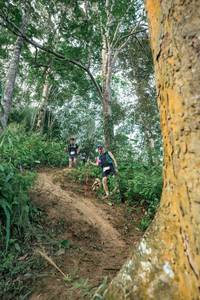 BIB: 
                            <button type="button" onclick="openModal(24856798)" class="btn btn-primary btn-sm float-right btn-popup" data-toggle="modal" data-target=".modal-high-quality">
                        <i class="fas fa-shopping-cart"></i> Add to Cart
                    </button>
                                            <button type="button" onclick="isThisMe(24856798, true)" class="btn btn-success btn-sm float-right btn-popup btn-isme hidden" data-toggle="tooltip" data-placement="bottom" title="นี่คือรูปของคุณใช่ไหม คลิกที่นี่เพื่อเอาเข้าอัลบั้ม">
                        <i class="fas fa-plus"></i> Add to album
                    </button>
                    <button type="button" onclick="isThisMe(24856798, false)" class="btn btn-warning btn-sm float-right btn-popup btn-isnotme hidden">
                        <i class="fas fa-ban"></i> Remove from album
                    </button>