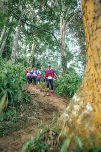 BIB: 
                            <button type="button" onclick="openModal(24854305)" class="btn btn-primary btn-sm float-right btn-popup" data-toggle="modal" data-target=".modal-high-quality">
                        <i class="fas fa-shopping-cart"></i> Add to Cart
                    </button>
                                            <button type="button" onclick="isThisMe(24854305, true)" class="btn btn-success btn-sm float-right btn-popup btn-isme hidden" data-toggle="tooltip" data-placement="bottom" title="นี่คือรูปของคุณใช่ไหม คลิกที่นี่เพื่อเอาเข้าอัลบั้ม">
                        <i class="fas fa-plus"></i> Add to album
                    </button>
                    <button type="button" onclick="isThisMe(24854305, false)" class="btn btn-warning btn-sm float-right btn-popup btn-isnotme hidden">
                        <i class="fas fa-ban"></i> Remove from album
                    </button>