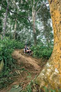 BIB: 
                            <button type="button" onclick="openModal(24856657)" class="btn btn-primary btn-sm float-right btn-popup" data-toggle="modal" data-target=".modal-high-quality">
                        <i class="fas fa-shopping-cart"></i> Add to Cart
                    </button>
                                            <button type="button" onclick="isThisMe(24856657, true)" class="btn btn-success btn-sm float-right btn-popup btn-isme hidden" data-toggle="tooltip" data-placement="bottom" title="นี่คือรูปของคุณใช่ไหม คลิกที่นี่เพื่อเอาเข้าอัลบั้ม">
                        <i class="fas fa-plus"></i> Add to album
                    </button>
                    <button type="button" onclick="isThisMe(24856657, false)" class="btn btn-warning btn-sm float-right btn-popup btn-isnotme hidden">
                        <i class="fas fa-ban"></i> Remove from album
                    </button>