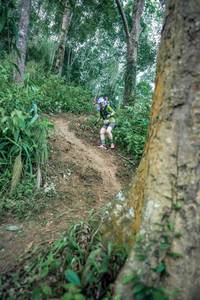 BIB: 
                            <button type="button" onclick="openModal(24851708)" class="btn btn-primary btn-sm float-right btn-popup" data-toggle="modal" data-target=".modal-high-quality">
                        <i class="fas fa-shopping-cart"></i> Add to Cart
                    </button>
                                            <button type="button" onclick="isThisMe(24851708, true)" class="btn btn-success btn-sm float-right btn-popup btn-isme hidden" data-toggle="tooltip" data-placement="bottom" title="นี่คือรูปของคุณใช่ไหม คลิกที่นี่เพื่อเอาเข้าอัลบั้ม">
                        <i class="fas fa-plus"></i> Add to album
                    </button>
                    <button type="button" onclick="isThisMe(24851708, false)" class="btn btn-warning btn-sm float-right btn-popup btn-isnotme hidden">
                        <i class="fas fa-ban"></i> Remove from album
                    </button>