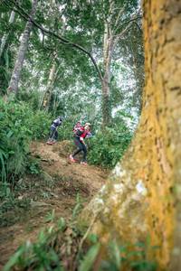 BIB: 
                            <button type="button" onclick="openModal(24854274)" class="btn btn-primary btn-sm float-right btn-popup" data-toggle="modal" data-target=".modal-high-quality">
                        <i class="fas fa-shopping-cart"></i> Add to Cart
                    </button>
                                            <button type="button" onclick="isThisMe(24854274, true)" class="btn btn-success btn-sm float-right btn-popup btn-isme hidden" data-toggle="tooltip" data-placement="bottom" title="นี่คือรูปของคุณใช่ไหม คลิกที่นี่เพื่อเอาเข้าอัลบั้ม">
                        <i class="fas fa-plus"></i> Add to album
                    </button>
                    <button type="button" onclick="isThisMe(24854274, false)" class="btn btn-warning btn-sm float-right btn-popup btn-isnotme hidden">
                        <i class="fas fa-ban"></i> Remove from album
                    </button>