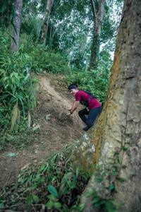 BIB: 
                            <button type="button" onclick="openModal(24851553)" class="btn btn-primary btn-sm float-right btn-popup" data-toggle="modal" data-target=".modal-high-quality">
                        <i class="fas fa-shopping-cart"></i> Add to Cart
                    </button>
                                            <button type="button" onclick="isThisMe(24851553, true)" class="btn btn-success btn-sm float-right btn-popup btn-isme hidden" data-toggle="tooltip" data-placement="bottom" title="นี่คือรูปของคุณใช่ไหม คลิกที่นี่เพื่อเอาเข้าอัลบั้ม">
                        <i class="fas fa-plus"></i> Add to album
                    </button>
                    <button type="button" onclick="isThisMe(24851553, false)" class="btn btn-warning btn-sm float-right btn-popup btn-isnotme hidden">
                        <i class="fas fa-ban"></i> Remove from album
                    </button>