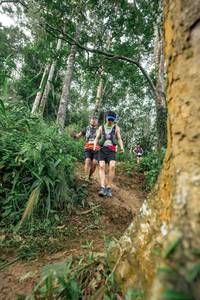 BIB: 
                            <button type="button" onclick="openModal(24856363)" class="btn btn-primary btn-sm float-right btn-popup" data-toggle="modal" data-target=".modal-high-quality">
                        <i class="fas fa-shopping-cart"></i> Add to Cart
                    </button>
                                            <button type="button" onclick="isThisMe(24856363, true)" class="btn btn-success btn-sm float-right btn-popup btn-isme hidden" data-toggle="tooltip" data-placement="bottom" title="นี่คือรูปของคุณใช่ไหม คลิกที่นี่เพื่อเอาเข้าอัลบั้ม">
                        <i class="fas fa-plus"></i> Add to album
                    </button>
                    <button type="button" onclick="isThisMe(24856363, false)" class="btn btn-warning btn-sm float-right btn-popup btn-isnotme hidden">
                        <i class="fas fa-ban"></i> Remove from album
                    </button>