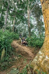 BIB: 
                            <button type="button" onclick="openModal(24856660)" class="btn btn-primary btn-sm float-right btn-popup" data-toggle="modal" data-target=".modal-high-quality">
                        <i class="fas fa-shopping-cart"></i> Add to Cart
                    </button>
                                            <button type="button" onclick="isThisMe(24856660, true)" class="btn btn-success btn-sm float-right btn-popup btn-isme hidden" data-toggle="tooltip" data-placement="bottom" title="นี่คือรูปของคุณใช่ไหม คลิกที่นี่เพื่อเอาเข้าอัลบั้ม">
                        <i class="fas fa-plus"></i> Add to album
                    </button>
                    <button type="button" onclick="isThisMe(24856660, false)" class="btn btn-warning btn-sm float-right btn-popup btn-isnotme hidden">
                        <i class="fas fa-ban"></i> Remove from album
                    </button>