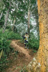 BIB: 
                            <button type="button" onclick="openModal(24856101)" class="btn btn-primary btn-sm float-right btn-popup" data-toggle="modal" data-target=".modal-high-quality">
                        <i class="fas fa-shopping-cart"></i> Add to Cart
                    </button>
                                            <button type="button" onclick="isThisMe(24856101, true)" class="btn btn-success btn-sm float-right btn-popup btn-isme hidden" data-toggle="tooltip" data-placement="bottom" title="นี่คือรูปของคุณใช่ไหม คลิกที่นี่เพื่อเอาเข้าอัลบั้ม">
                        <i class="fas fa-plus"></i> Add to album
                    </button>
                    <button type="button" onclick="isThisMe(24856101, false)" class="btn btn-warning btn-sm float-right btn-popup btn-isnotme hidden">
                        <i class="fas fa-ban"></i> Remove from album
                    </button>