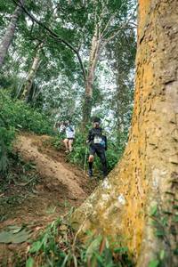 BIB: 
                            <button type="button" onclick="openModal(24856536)" class="btn btn-primary btn-sm float-right btn-popup" data-toggle="modal" data-target=".modal-high-quality">
                        <i class="fas fa-shopping-cart"></i> Add to Cart
                    </button>
                                            <button type="button" onclick="isThisMe(24856536, true)" class="btn btn-success btn-sm float-right btn-popup btn-isme hidden" data-toggle="tooltip" data-placement="bottom" title="นี่คือรูปของคุณใช่ไหม คลิกที่นี่เพื่อเอาเข้าอัลบั้ม">
                        <i class="fas fa-plus"></i> Add to album
                    </button>
                    <button type="button" onclick="isThisMe(24856536, false)" class="btn btn-warning btn-sm float-right btn-popup btn-isnotme hidden">
                        <i class="fas fa-ban"></i> Remove from album
                    </button>