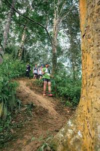 BIB: 
                            <button type="button" onclick="openModal(24856037)" class="btn btn-primary btn-sm float-right btn-popup" data-toggle="modal" data-target=".modal-high-quality">
                        <i class="fas fa-shopping-cart"></i> Add to Cart
                    </button>
                                            <button type="button" onclick="isThisMe(24856037, true)" class="btn btn-success btn-sm float-right btn-popup btn-isme hidden" data-toggle="tooltip" data-placement="bottom" title="นี่คือรูปของคุณใช่ไหม คลิกที่นี่เพื่อเอาเข้าอัลบั้ม">
                        <i class="fas fa-plus"></i> Add to album
                    </button>
                    <button type="button" onclick="isThisMe(24856037, false)" class="btn btn-warning btn-sm float-right btn-popup btn-isnotme hidden">
                        <i class="fas fa-ban"></i> Remove from album
                    </button>