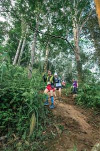 BIB: 
                            <button type="button" onclick="openModal(24856637)" class="btn btn-primary btn-sm float-right btn-popup" data-toggle="modal" data-target=".modal-high-quality">
                        <i class="fas fa-shopping-cart"></i> Add to Cart
                    </button>
                                            <button type="button" onclick="isThisMe(24856637, true)" class="btn btn-success btn-sm float-right btn-popup btn-isme hidden" data-toggle="tooltip" data-placement="bottom" title="นี่คือรูปของคุณใช่ไหม คลิกที่นี่เพื่อเอาเข้าอัลบั้ม">
                        <i class="fas fa-plus"></i> Add to album
                    </button>
                    <button type="button" onclick="isThisMe(24856637, false)" class="btn btn-warning btn-sm float-right btn-popup btn-isnotme hidden">
                        <i class="fas fa-ban"></i> Remove from album
                    </button>