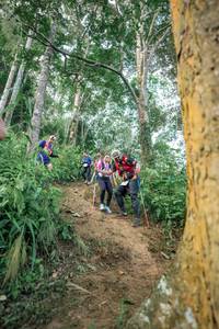 BIB: 
                            <button type="button" onclick="openModal(24854358)" class="btn btn-primary btn-sm float-right btn-popup" data-toggle="modal" data-target=".modal-high-quality">
                        <i class="fas fa-shopping-cart"></i> Add to Cart
                    </button>
                                            <button type="button" onclick="isThisMe(24854358, true)" class="btn btn-success btn-sm float-right btn-popup btn-isme hidden" data-toggle="tooltip" data-placement="bottom" title="นี่คือรูปของคุณใช่ไหม คลิกที่นี่เพื่อเอาเข้าอัลบั้ม">
                        <i class="fas fa-plus"></i> Add to album
                    </button>
                    <button type="button" onclick="isThisMe(24854358, false)" class="btn btn-warning btn-sm float-right btn-popup btn-isnotme hidden">
                        <i class="fas fa-ban"></i> Remove from album
                    </button>