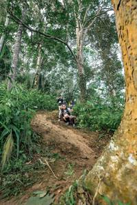 BIB: 
                            <button type="button" onclick="openModal(24856658)" class="btn btn-primary btn-sm float-right btn-popup" data-toggle="modal" data-target=".modal-high-quality">
                        <i class="fas fa-shopping-cart"></i> Add to Cart
                    </button>
                                            <button type="button" onclick="isThisMe(24856658, true)" class="btn btn-success btn-sm float-right btn-popup btn-isme hidden" data-toggle="tooltip" data-placement="bottom" title="นี่คือรูปของคุณใช่ไหม คลิกที่นี่เพื่อเอาเข้าอัลบั้ม">
                        <i class="fas fa-plus"></i> Add to album
                    </button>
                    <button type="button" onclick="isThisMe(24856658, false)" class="btn btn-warning btn-sm float-right btn-popup btn-isnotme hidden">
                        <i class="fas fa-ban"></i> Remove from album
                    </button>