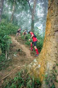 BIB: 
                            <button type="button" onclick="openModal(24852306)" class="btn btn-primary btn-sm float-right btn-popup" data-toggle="modal" data-target=".modal-high-quality">
                        <i class="fas fa-shopping-cart"></i> Add to Cart
                    </button>
                                            <button type="button" onclick="isThisMe(24852306, true)" class="btn btn-success btn-sm float-right btn-popup btn-isme hidden" data-toggle="tooltip" data-placement="bottom" title="นี่คือรูปของคุณใช่ไหม คลิกที่นี่เพื่อเอาเข้าอัลบั้ม">
                        <i class="fas fa-plus"></i> Add to album
                    </button>
                    <button type="button" onclick="isThisMe(24852306, false)" class="btn btn-warning btn-sm float-right btn-popup btn-isnotme hidden">
                        <i class="fas fa-ban"></i> Remove from album
                    </button>