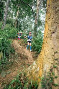 BIB: 
                            <button type="button" onclick="openModal(24853707)" class="btn btn-primary btn-sm float-right btn-popup" data-toggle="modal" data-target=".modal-high-quality">
                        <i class="fas fa-shopping-cart"></i> Add to Cart
                    </button>
                                            <button type="button" onclick="isThisMe(24853707, true)" class="btn btn-success btn-sm float-right btn-popup btn-isme hidden" data-toggle="tooltip" data-placement="bottom" title="นี่คือรูปของคุณใช่ไหม คลิกที่นี่เพื่อเอาเข้าอัลบั้ม">
                        <i class="fas fa-plus"></i> Add to album
                    </button>
                    <button type="button" onclick="isThisMe(24853707, false)" class="btn btn-warning btn-sm float-right btn-popup btn-isnotme hidden">
                        <i class="fas fa-ban"></i> Remove from album
                    </button>