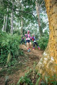 BIB: 
                            <button type="button" onclick="openModal(24854244)" class="btn btn-primary btn-sm float-right btn-popup" data-toggle="modal" data-target=".modal-high-quality">
                        <i class="fas fa-shopping-cart"></i> Add to Cart
                    </button>
                                            <button type="button" onclick="isThisMe(24854244, true)" class="btn btn-success btn-sm float-right btn-popup btn-isme hidden" data-toggle="tooltip" data-placement="bottom" title="นี่คือรูปของคุณใช่ไหม คลิกที่นี่เพื่อเอาเข้าอัลบั้ม">
                        <i class="fas fa-plus"></i> Add to album
                    </button>
                    <button type="button" onclick="isThisMe(24854244, false)" class="btn btn-warning btn-sm float-right btn-popup btn-isnotme hidden">
                        <i class="fas fa-ban"></i> Remove from album
                    </button>