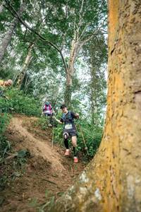 BIB: 
                            <button type="button" onclick="openModal(24855881)" class="btn btn-primary btn-sm float-right btn-popup" data-toggle="modal" data-target=".modal-high-quality">
                        <i class="fas fa-shopping-cart"></i> Add to Cart
                    </button>
                                            <button type="button" onclick="isThisMe(24855881, true)" class="btn btn-success btn-sm float-right btn-popup btn-isme hidden" data-toggle="tooltip" data-placement="bottom" title="นี่คือรูปของคุณใช่ไหม คลิกที่นี่เพื่อเอาเข้าอัลบั้ม">
                        <i class="fas fa-plus"></i> Add to album
                    </button>
                    <button type="button" onclick="isThisMe(24855881, false)" class="btn btn-warning btn-sm float-right btn-popup btn-isnotme hidden">
                        <i class="fas fa-ban"></i> Remove from album
                    </button>