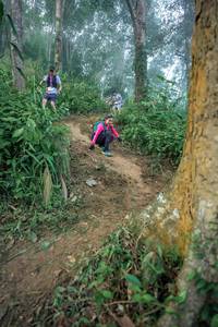 BIB: 
                            <button type="button" onclick="openModal(24852083)" class="btn btn-primary btn-sm float-right btn-popup" data-toggle="modal" data-target=".modal-high-quality">
                        <i class="fas fa-shopping-cart"></i> Add to Cart
                    </button>
                                            <button type="button" onclick="isThisMe(24852083, true)" class="btn btn-success btn-sm float-right btn-popup btn-isme hidden" data-toggle="tooltip" data-placement="bottom" title="นี่คือรูปของคุณใช่ไหม คลิกที่นี่เพื่อเอาเข้าอัลบั้ม">
                        <i class="fas fa-plus"></i> Add to album
                    </button>
                    <button type="button" onclick="isThisMe(24852083, false)" class="btn btn-warning btn-sm float-right btn-popup btn-isnotme hidden">
                        <i class="fas fa-ban"></i> Remove from album
                    </button>