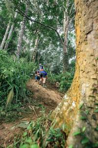 BIB: 
                            <button type="button" onclick="openModal(24856679)" class="btn btn-primary btn-sm float-right btn-popup" data-toggle="modal" data-target=".modal-high-quality">
                        <i class="fas fa-shopping-cart"></i> Add to Cart
                    </button>
                                            <button type="button" onclick="isThisMe(24856679, true)" class="btn btn-success btn-sm float-right btn-popup btn-isme hidden" data-toggle="tooltip" data-placement="bottom" title="นี่คือรูปของคุณใช่ไหม คลิกที่นี่เพื่อเอาเข้าอัลบั้ม">
                        <i class="fas fa-plus"></i> Add to album
                    </button>
                    <button type="button" onclick="isThisMe(24856679, false)" class="btn btn-warning btn-sm float-right btn-popup btn-isnotme hidden">
                        <i class="fas fa-ban"></i> Remove from album
                    </button>