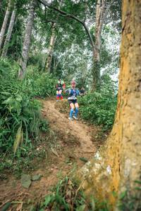 BIB: 
                            <button type="button" onclick="openModal(24853692)" class="btn btn-primary btn-sm float-right btn-popup" data-toggle="modal" data-target=".modal-high-quality">
                        <i class="fas fa-shopping-cart"></i> Add to Cart
                    </button>
                                            <button type="button" onclick="isThisMe(24853692, true)" class="btn btn-success btn-sm float-right btn-popup btn-isme hidden" data-toggle="tooltip" data-placement="bottom" title="นี่คือรูปของคุณใช่ไหม คลิกที่นี่เพื่อเอาเข้าอัลบั้ม">
                        <i class="fas fa-plus"></i> Add to album
                    </button>
                    <button type="button" onclick="isThisMe(24853692, false)" class="btn btn-warning btn-sm float-right btn-popup btn-isnotme hidden">
                        <i class="fas fa-ban"></i> Remove from album
                    </button>