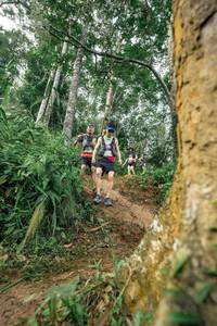 BIB: 
                            <button type="button" onclick="openModal(24856357)" class="btn btn-primary btn-sm float-right btn-popup" data-toggle="modal" data-target=".modal-high-quality">
                        <i class="fas fa-shopping-cart"></i> Add to Cart
                    </button>
                                            <button type="button" onclick="isThisMe(24856357, true)" class="btn btn-success btn-sm float-right btn-popup btn-isme hidden" data-toggle="tooltip" data-placement="bottom" title="นี่คือรูปของคุณใช่ไหม คลิกที่นี่เพื่อเอาเข้าอัลบั้ม">
                        <i class="fas fa-plus"></i> Add to album
                    </button>
                    <button type="button" onclick="isThisMe(24856357, false)" class="btn btn-warning btn-sm float-right btn-popup btn-isnotme hidden">
                        <i class="fas fa-ban"></i> Remove from album
                    </button>