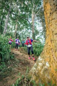 BIB: 
                            <button type="button" onclick="openModal(24854311)" class="btn btn-primary btn-sm float-right btn-popup" data-toggle="modal" data-target=".modal-high-quality">
                        <i class="fas fa-shopping-cart"></i> Add to Cart
                    </button>
                                            <button type="button" onclick="isThisMe(24854311, true)" class="btn btn-success btn-sm float-right btn-popup btn-isme hidden" data-toggle="tooltip" data-placement="bottom" title="นี่คือรูปของคุณใช่ไหม คลิกที่นี่เพื่อเอาเข้าอัลบั้ม">
                        <i class="fas fa-plus"></i> Add to album
                    </button>
                    <button type="button" onclick="isThisMe(24854311, false)" class="btn btn-warning btn-sm float-right btn-popup btn-isnotme hidden">
                        <i class="fas fa-ban"></i> Remove from album
                    </button>